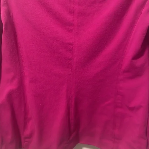 A Pink Blazer by The Limited! - Picture 15 of 16